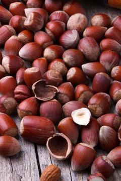 Several hazelnuts background Stock Photos