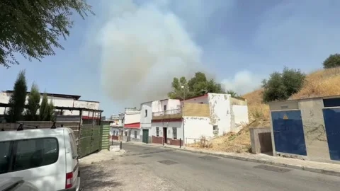 Several homes evacuated due to a fire on a hill in Camas (Seville), CAMAS (SEVIL Stock Footage 339949904
