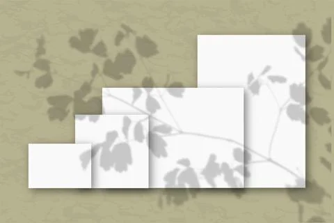 Several horizontal and vertical sheets of white textured paper against a olive Illustrazione stock