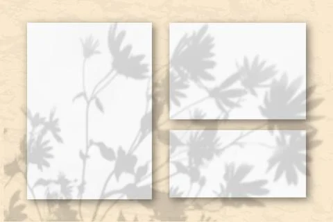 Several horizontal and vertical sheets of white textured paper on the sand Stock Illustration