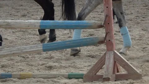 Several Horses walking in sand. Stock-Footage 105872963
