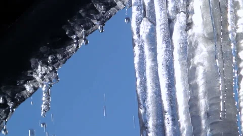 Several Huge Icicles Thawing At Spring Time Stock Footage 57281294