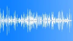 Several Lambs And Sheep Sound Effect