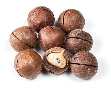 Several macadamia nuts closeup on white Stock Photos