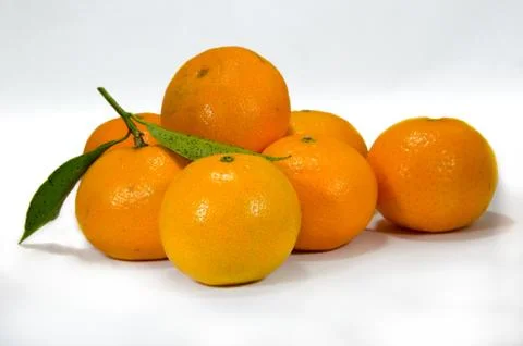 Several mandarins Stock Photos