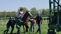 Several men try to lead a racing horse into start box 4k or 4k+ Resolution
