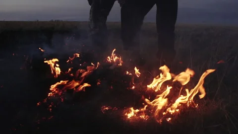 Several Men in Workwear Trampling Fire in Field. Extinguish Steppe Fire. Evening Video stock 147005515
