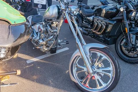 Several motorcycles, mostly Harley-Davidson models, parked on an asphalt or.. 스톡 사진
