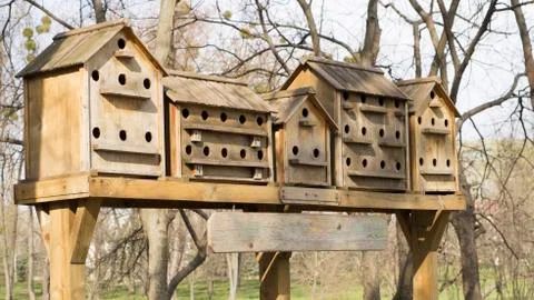 Several nesting boxes in a sunny day are waiting for the birds Stock Photos