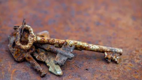 Several old rusty keys on ring shot on steel textured background Stock Photos