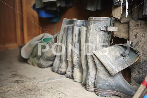 Several pairs of muddy wellington boots on a stone floor. Stock Photos