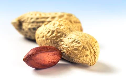 Several peanuts Stock Photos