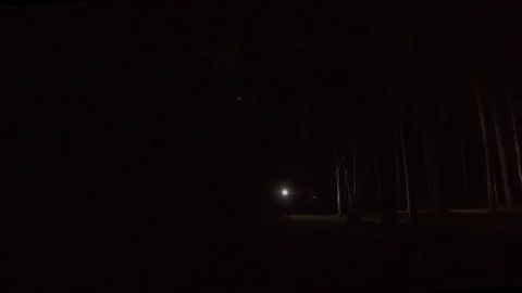 Several people with lanterns in the night forest Vídeos de archivo 88770334