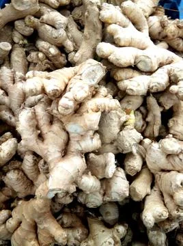 Several pieces of ginger - close up Stock-Fotos