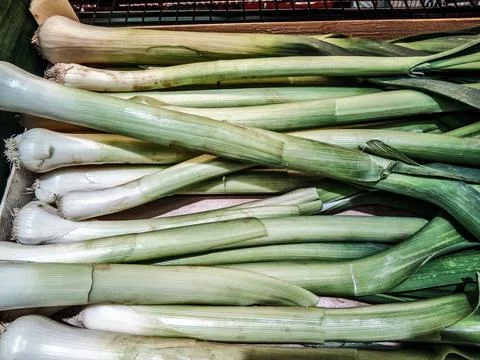 Several pieces of leek - vegetable Stockfoto's