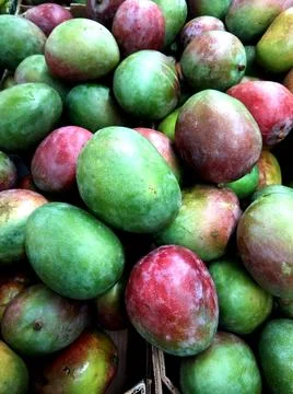 Several pieces of mango - fruit Stock Photos