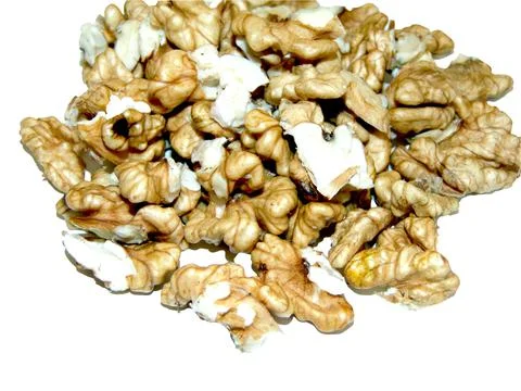 Several pieces of walnut kernel Stock Photos