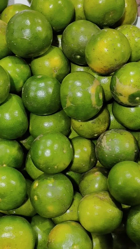 Several piles of green squeezed oranges Stock Footage 308734683