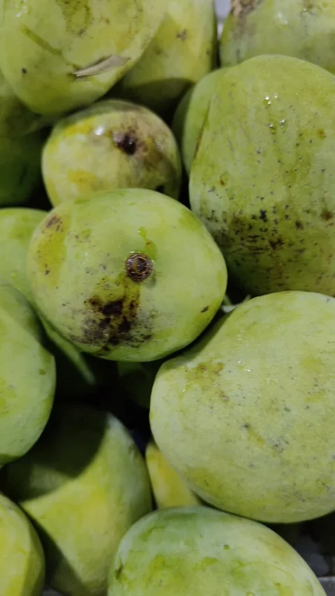 Several piles of mangoes Stock Footage 308722062