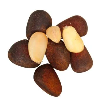 Several of pine nuts close up Stock Photos