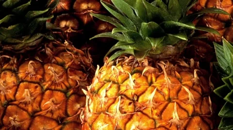 Several pineapples Stock Footage 8574152