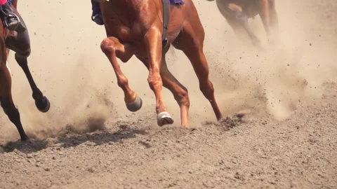 Several Racehorses are Raising a Cloud of Dust With Their Hooves. Slow Motion Stock Footage 162530006