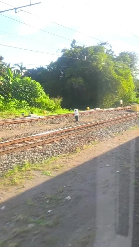 Several railways Stock Footage 336674971