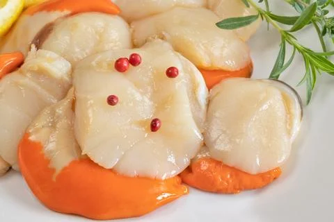 Several raw scallops on a plate Stock Photos