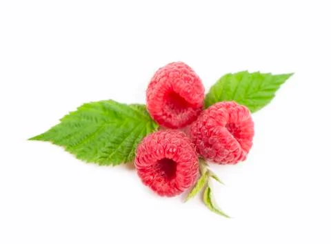 Several red roses Foto stock