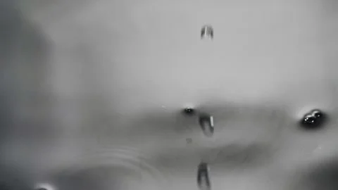 A several red tomatoes are falling on the water reflection surface Stock Footage 147381037