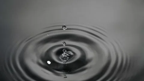 A several red tomatoes are falling on the water reflection surface Stock Footage 147381040