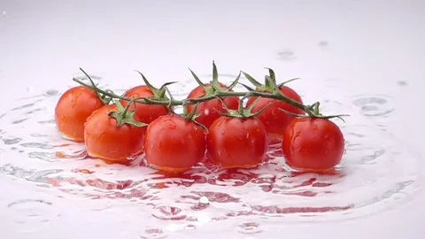A Several Ripe Tomatoes are Falling on the Table. Video stock 72965763