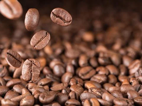 Several roasted coffee beans fall down towards the coffee beans. Horizontal p Stock Photos