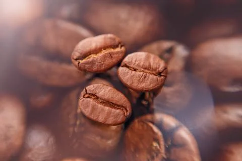Several roasted coffee beans lie on a coffee bean photo. Horizontal photo. Stock Photos