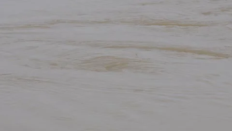 Several rotation has made in the river Stock Footage 314563065