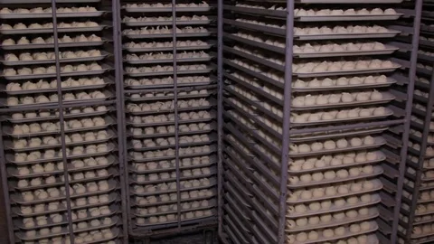 Several rows of meat dumplings with meat on trays, close-up Stock Footage 75255148