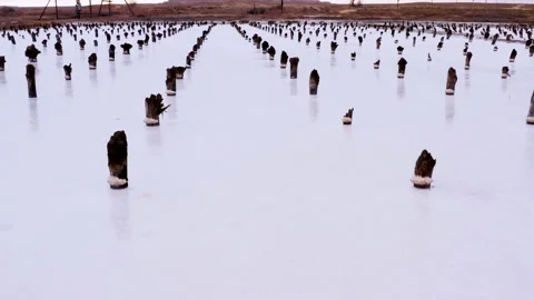 Several rows of wooden posts, stumps in salt lake Video stock 195726279