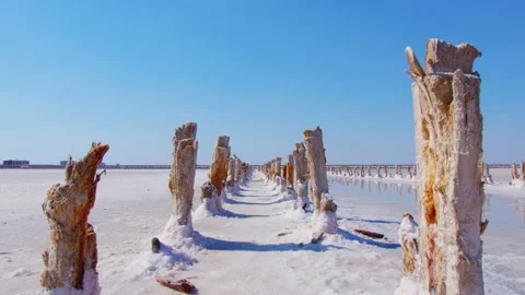 Several rows of wooden posts, stumps in salt lake Video stock 235497596