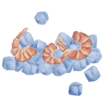 Several shrimp rest on ice cubes. A culinary watercolor illustration. Seafo.. Stock Illustration