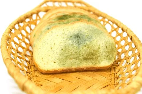 Several slices of bread covered with mold lie in a basket isolated on a white Stock Photos