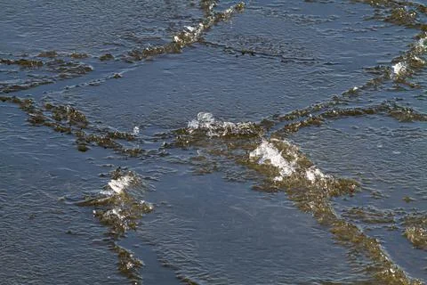 Several small ice floes collide with each other Stock Photos