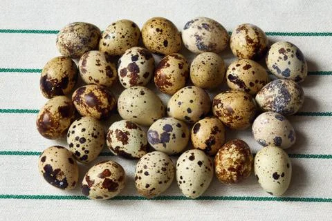 Several small quail eggs lie on a towel Stock Photos