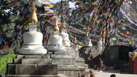 Several small stupas in Monkey Temple Stock Footage 59005352