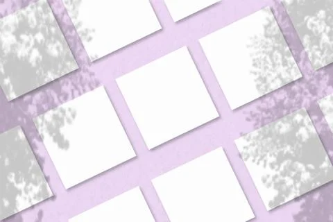 Several square sheets of white textured paper against a pink wall background. Stock Illustration