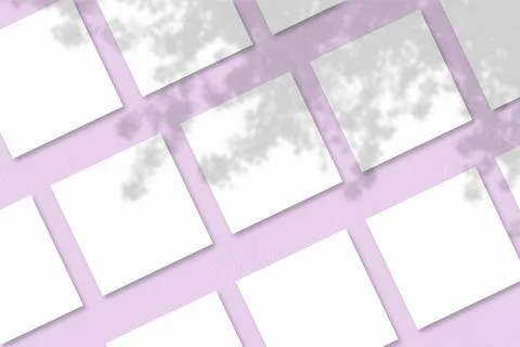 Several square sheets of white textured paper against a pink wall background. Stock Illustration