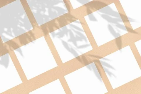 Several square sheets of white textured paper against a beige wall. Mockup Stock Illustration