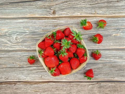 Several strawberries, close-up, on a table Stock Photos