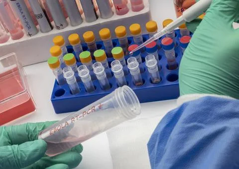 Several test tubes containing Ebola virus PCR samples in a research laborat.. Stock Photos