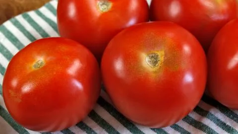 Several tomatoes, close-up, on a table Stock Photos