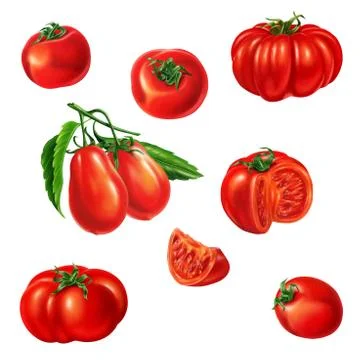 Several tomatoes of different kind. Stock Illustration